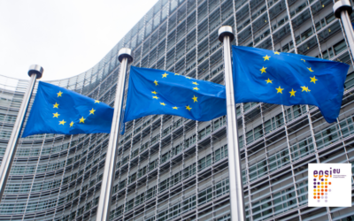 Erasmus+ Call on Sport: A Record-Breaking Achievement